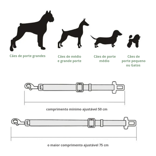 PetDrive Coleira e Sinto de segurança