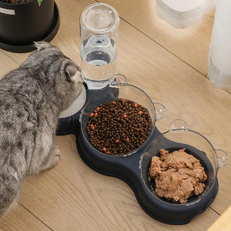 Bebedouro e Comedouro para Cães e Gatos